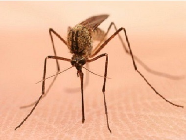 白坭四害消杀中心常用的灭蚊子的办法有哪些