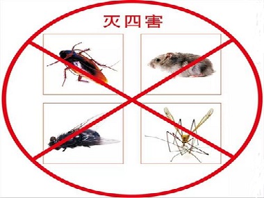 佛山除四害消杀没有看到害虫出现,有必要实行定期虫害防治吗?