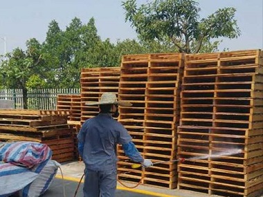 三水虫害防控中心有必要实行定期虫害防治吗?