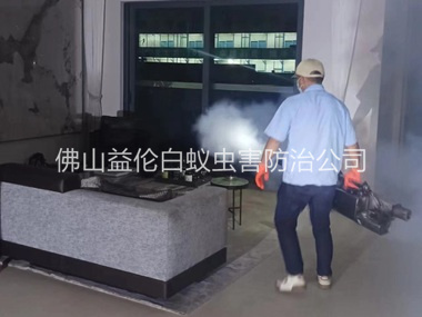 南边室内灭蚊虫工程