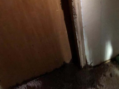 芦苞验收白蚁机构家里怎么突然有白蚁出现