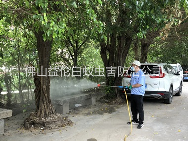 大塘社区四害消杀工程