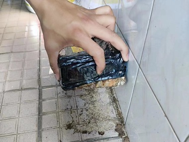 金本白蚁预防机构室内诱杀箱能防白蚁再次入侵吗?